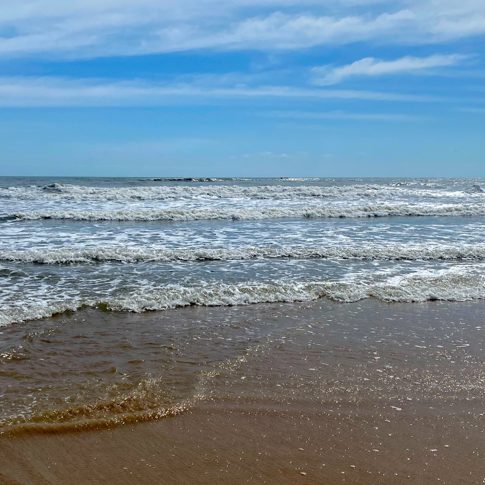 Meet your Posher, Lisa n dave